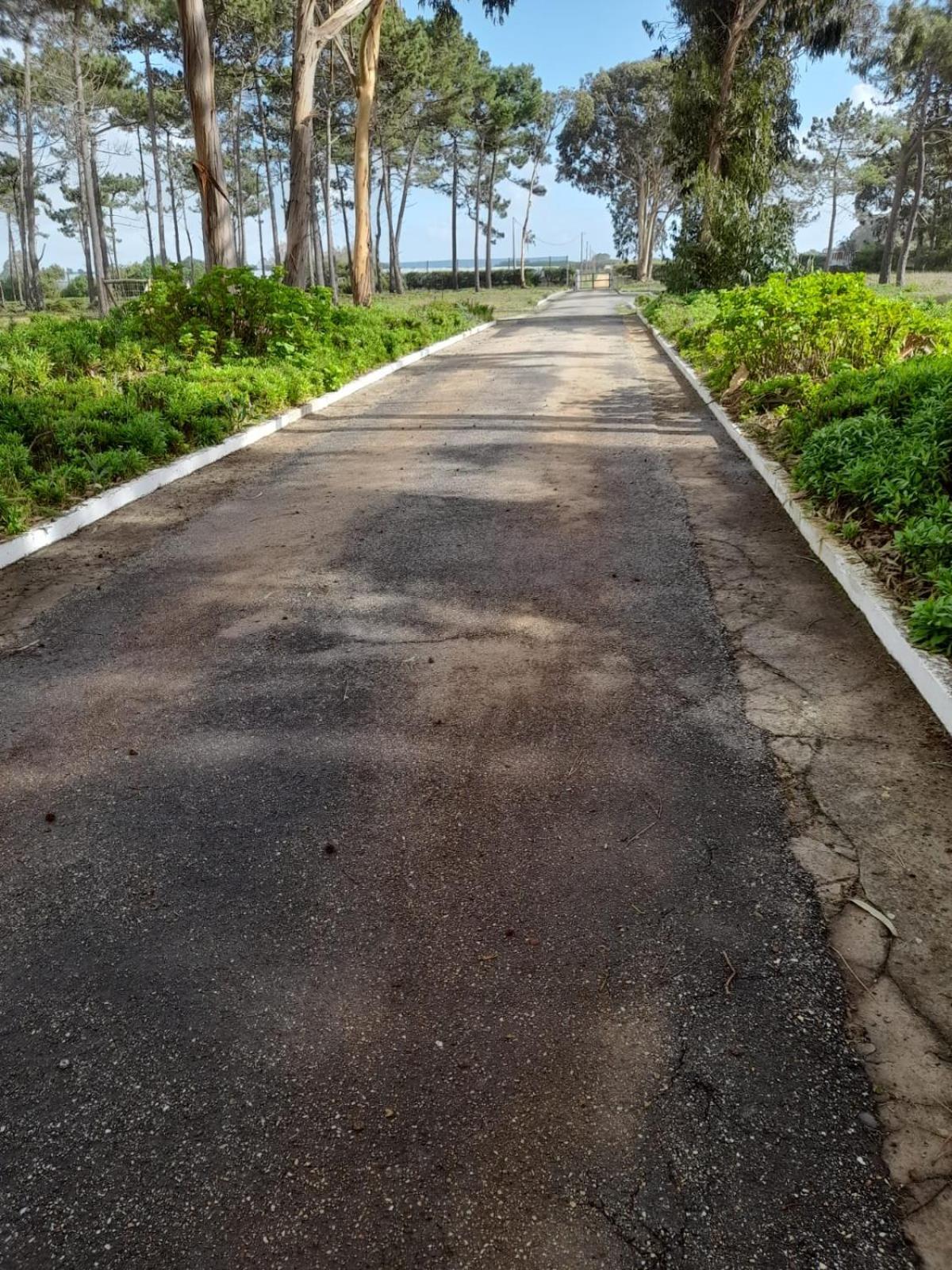 Herdade Amália Zambujeira do Mar Exterior foto
